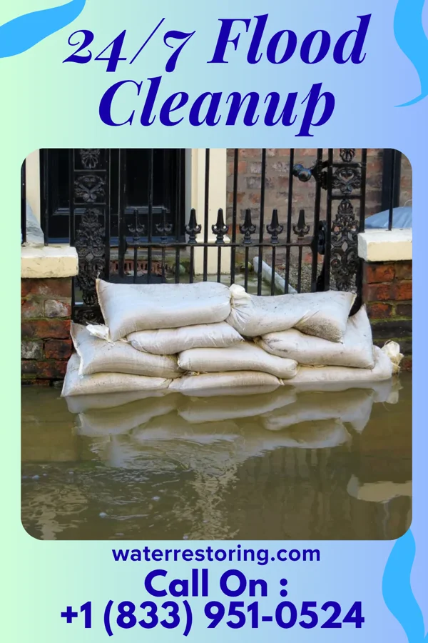 24/7 Flood Cleanup in Friedenswald, MO