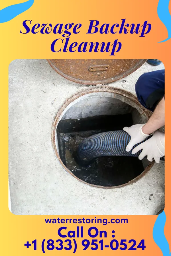 Sewage Backup Cleanup in Friedenswald, MO