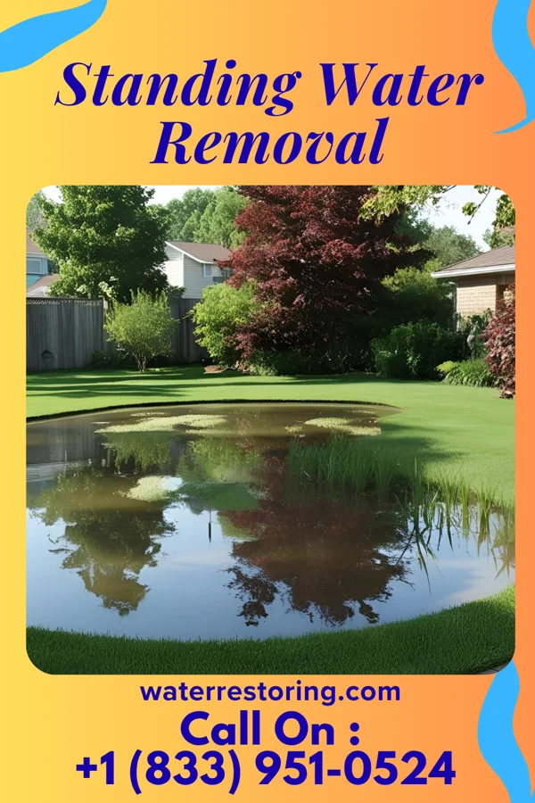 Standing Water Removal in Friedenswald, MO